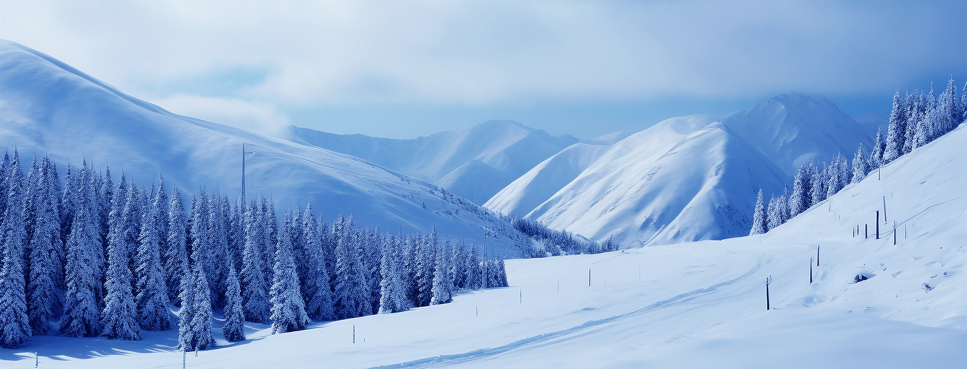 Ȩ�Ź��ʹ���-�����ɾͷǷ�,����Ʒ�Ƶ�����